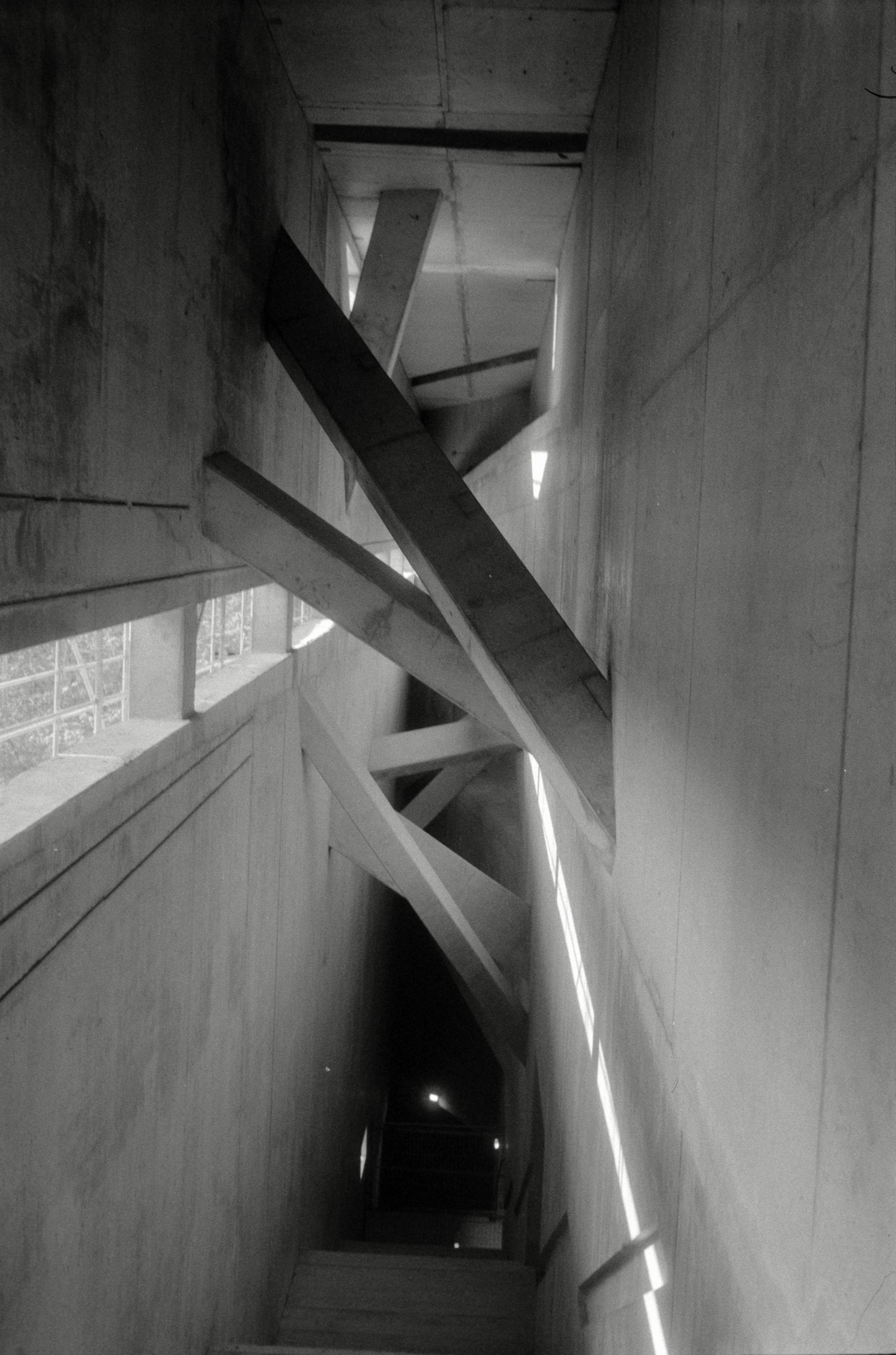 AHP F1994 06 003 sc240829 img32 NLP